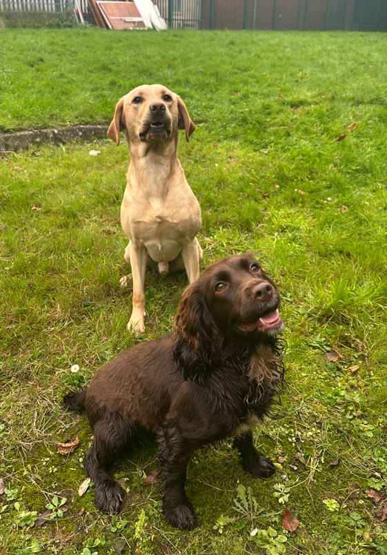 PD Harrison and Wilma.jpg