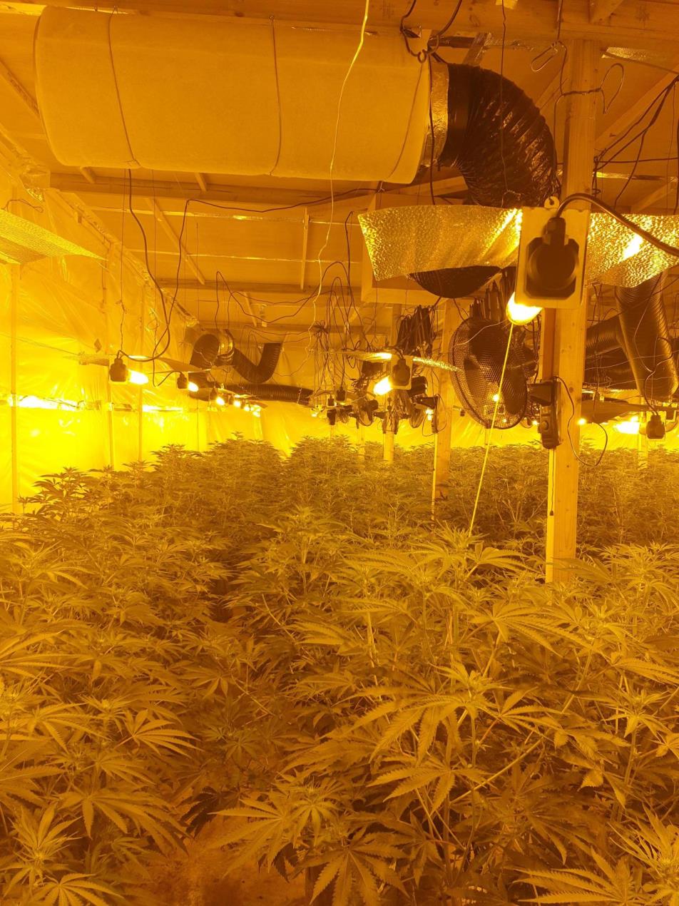 MicrosoftTeams-image (2).jpg