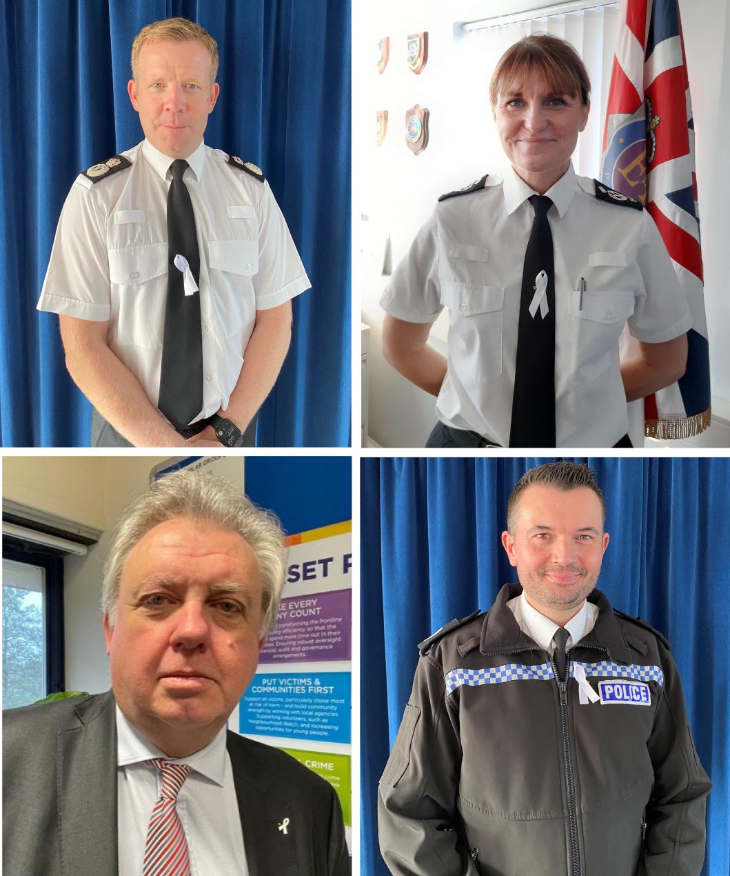 Dorset White Ribbon MONTAGE V2.jpg