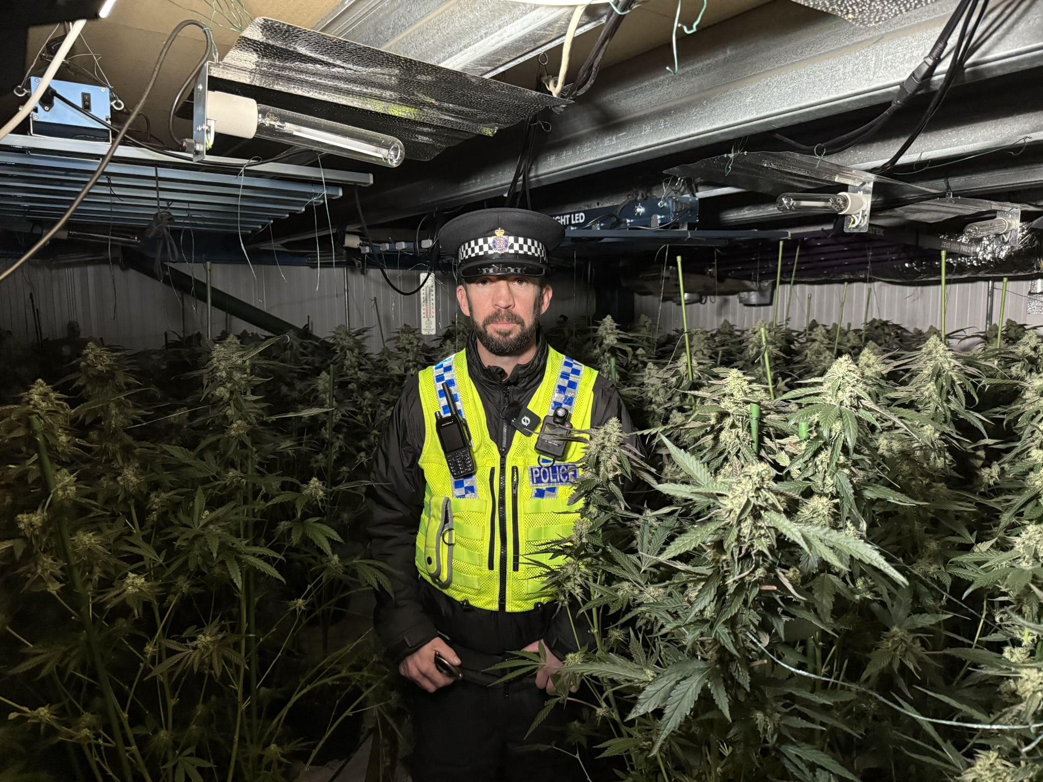 Op Scorpion November 2025 (1).jpg